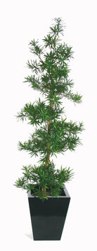 Artificial Podocarpus Tree (Natural)