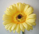 Artificial Silk Flocked Gerbera Single Stem