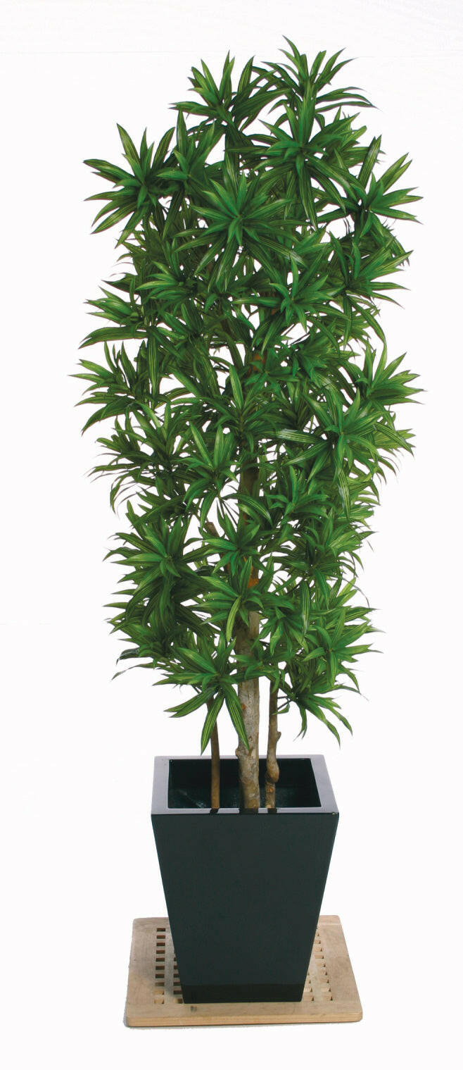 Artificial Silk Dracaena Reflexa Tree