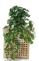 Artificial Silk Trailing Pothos IFR