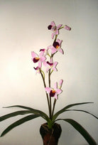 Artificial Silk Orchid Arrangement