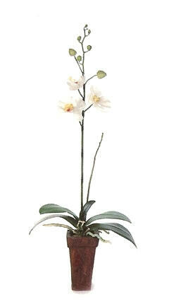 Artificial Silk Phalaenopsis Orchid Arrangement