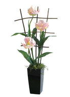 Artificial Silk Tulip on Frame Display