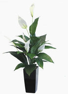 Artificial Silk Spathiphyllum Arrangement