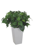 Artificial Silk Philo Bush Display in Cubico Planter