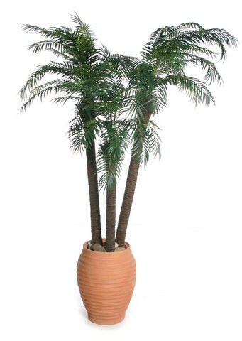 Artificial Robellini Palm Tree IFR