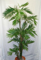 Artificial Silk Parlour Palm Tree