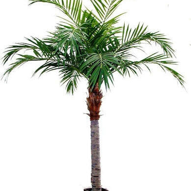 Artificial Majesty Palm Tree