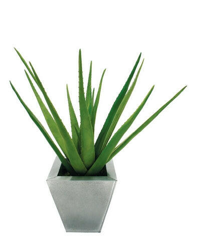 Artificial Silk Aloe Plant