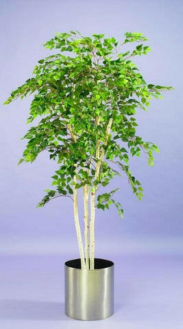 Artificial Silver Birch Tree IFR