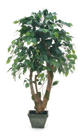 Artificial Silk Ficus Bonsai Tree