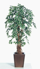 Artificial Silk Economy Ficus Tree