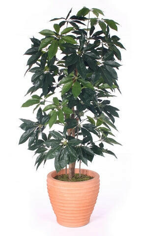 Artificial Silk Shefflera Tree