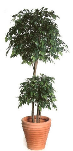 Artificial Silk Ficus Natasha Tropical Tree