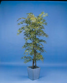 Artificial Silk Japanese Maple Tree