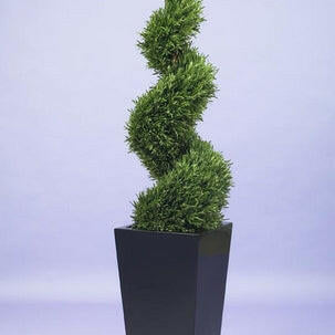 Artificial Rosemary Spiral Tree