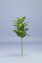 Artificial Silk Dieffenbachia