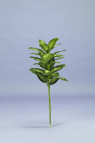 Artificial Silk Dieffenbachia