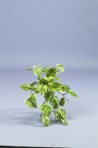 Artificial Silk Pothos Bush