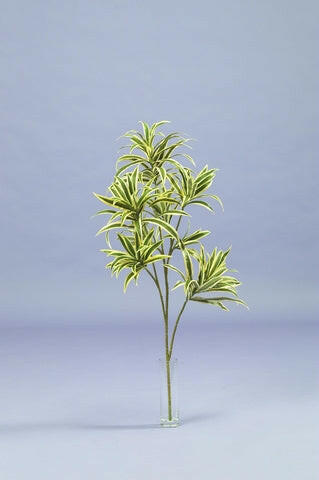 Artificial Silk Dracaena Reflexa Plant