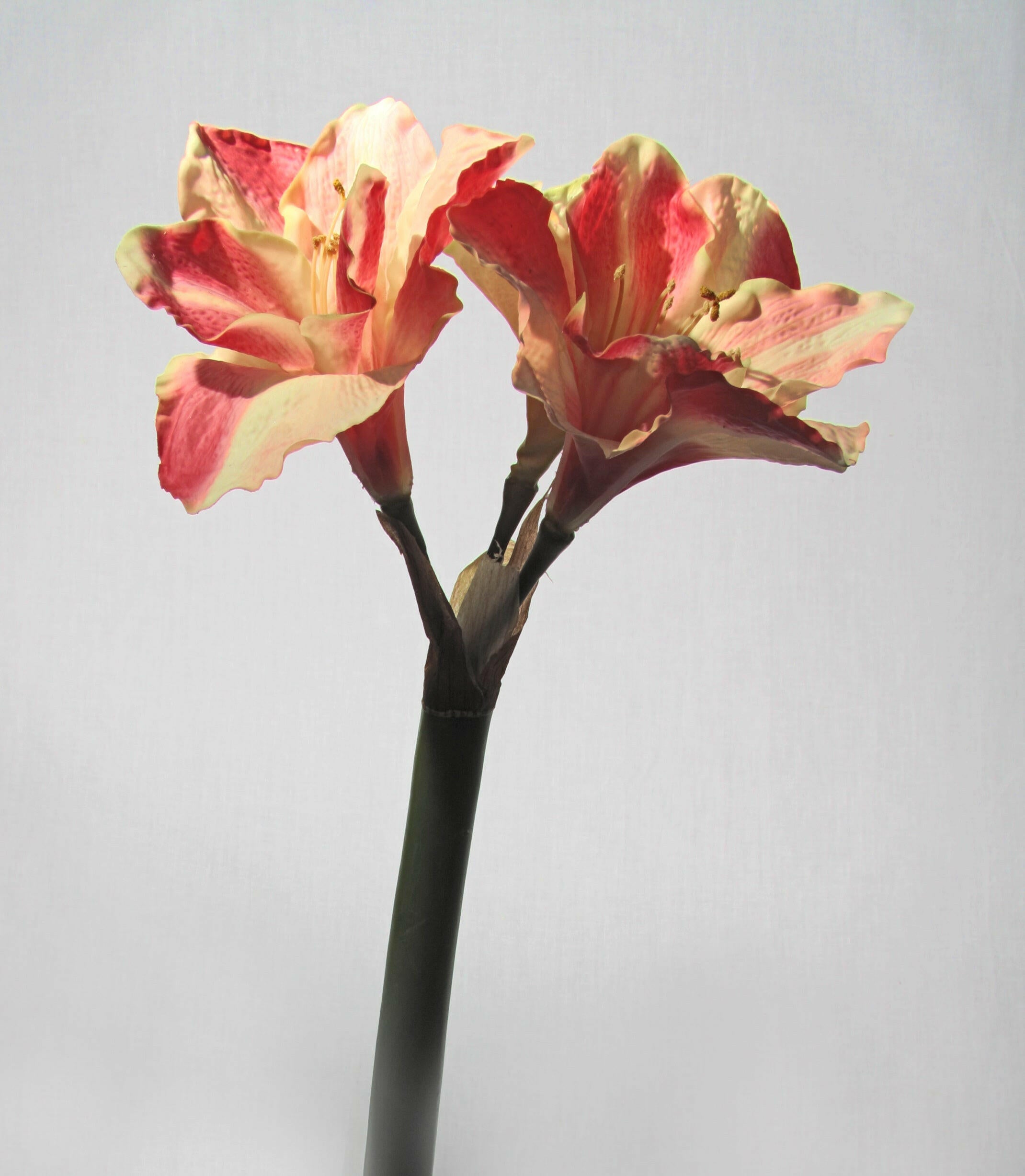 Artificial Silk Real Touch Amaryllis Single Stem