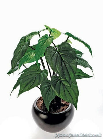 Artificial Silk Alocasia Plant