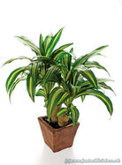 Artificial Silk Dracaena Plant