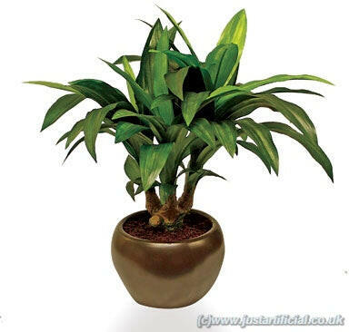 Artificial Silk Dracaena Plant