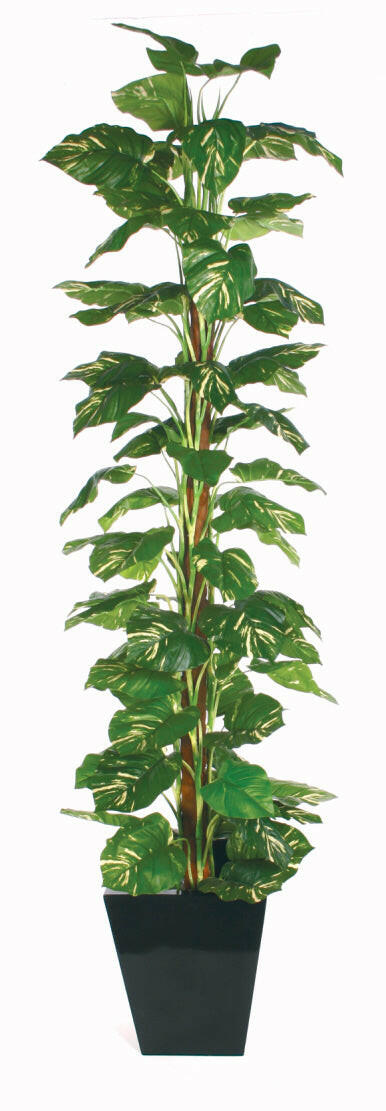 Artificial Silk Pothos plant