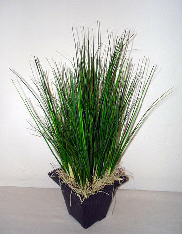 Artificial Silk Onion Grass Arrangement