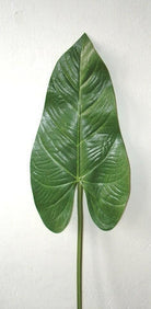 Artificial Silk Anthurium Leaf Single Stem