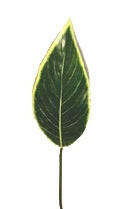 Artificial Silk Heliconia Leaf