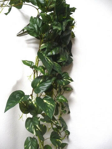 Artificial Silk Trailing Pothos Bush