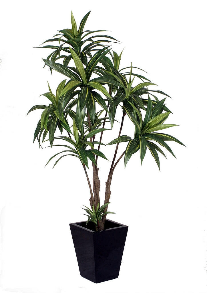 Artificial Silk Dracaena Fragrans 'Suprise' Tree