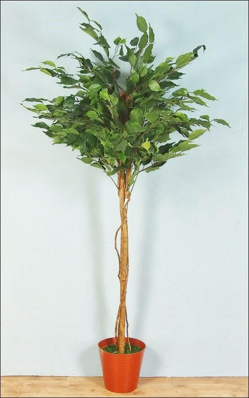 Artificial Silk Ficus Tree
