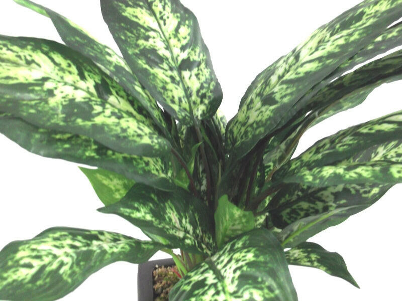 Artificial Silk Dieffenbachia