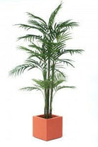 Artificial Areca Palm Display