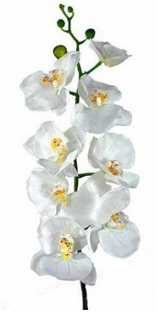 Artificial Phalaenopsis Orchid (Real Touch)