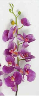 Artificial Phalaenopsis Orchid (Real Touch)