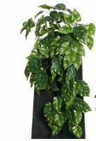 Artificial Pothos Bush Trail IFR