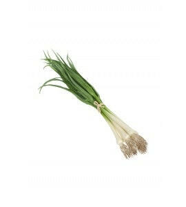 Artificial Spring Onion Bundle Natural Touch