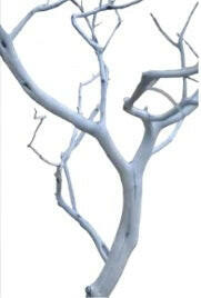 Decorative Manzanita Branch