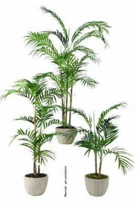 Artificial Silk Areca Palm