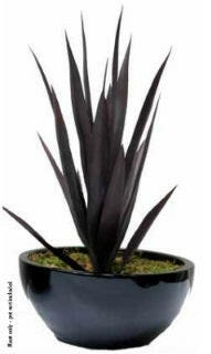 Artificial Yucca Plant