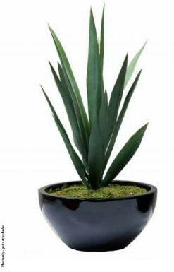 Artificial Yucca Plant