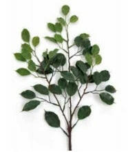 Artificial Silk Ficus Mini Leaf Spray UV