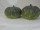 Artificial Pumpkins - a pair of