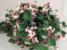 Artificial Silk Pansy Hanging Basket