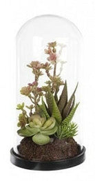 Artificial Succulent Mix in Glass Dome