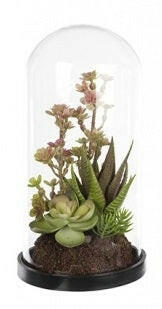 Artificial Succulent Mix in Glass Dome